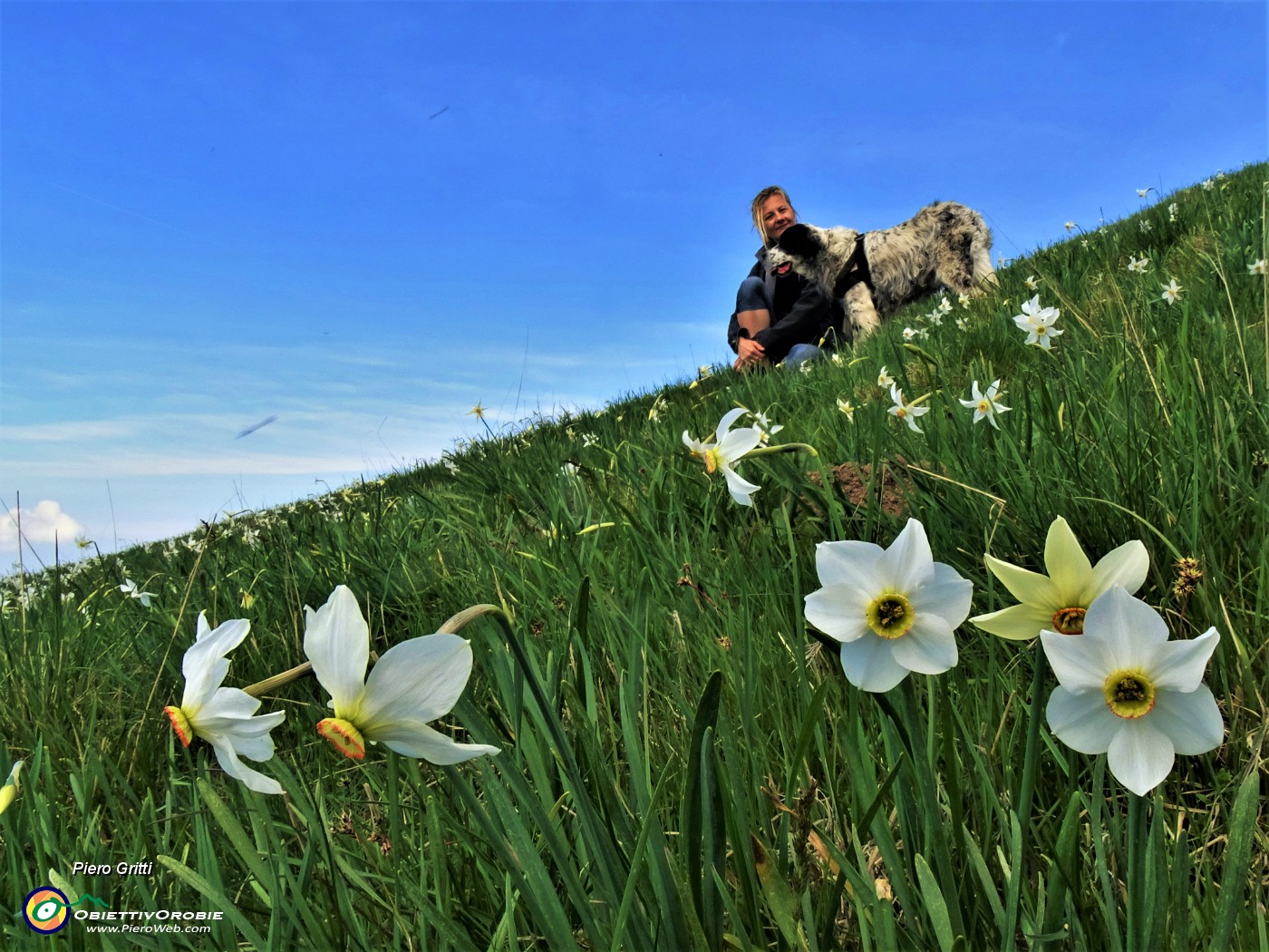 47 Finalmente baciati dal sole tra i narcisi.JPG